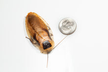 Load image into Gallery viewer, Discoid Roaches