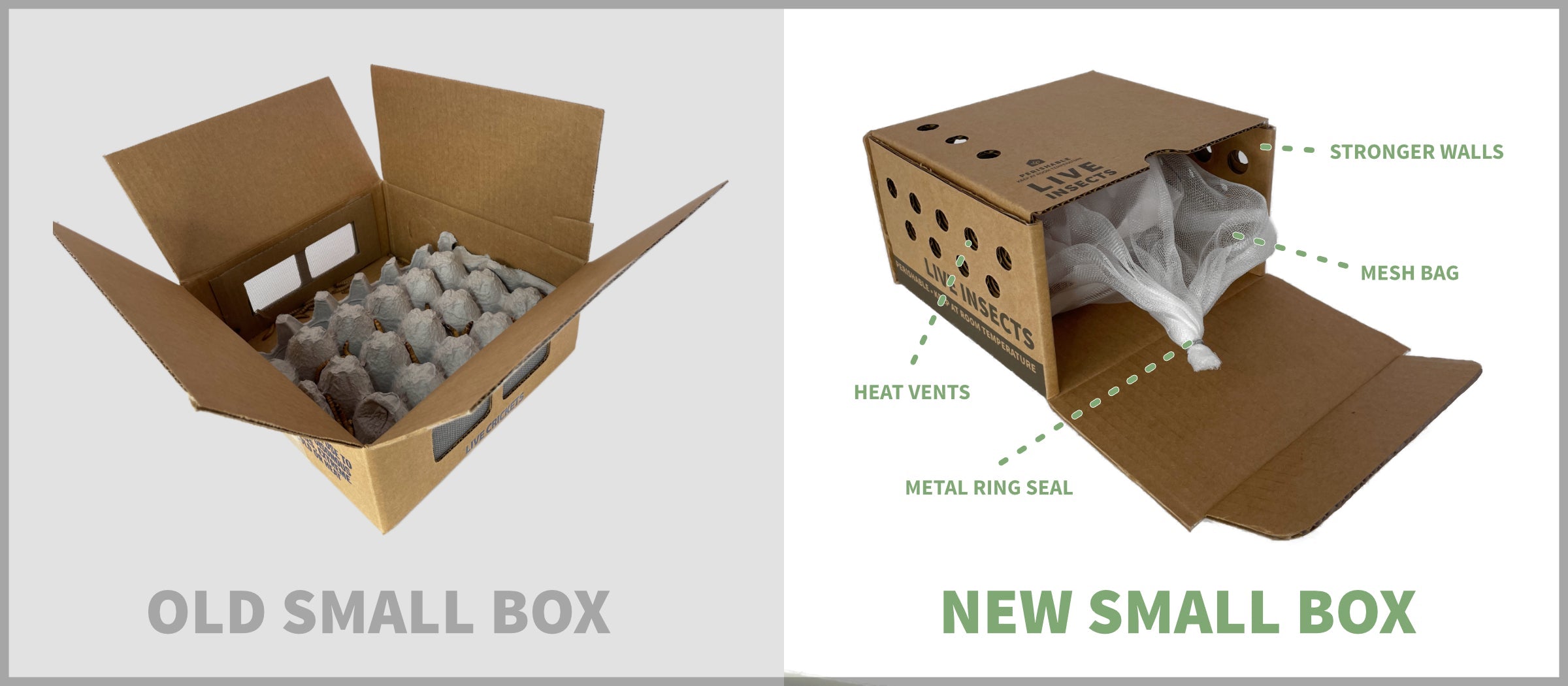 Box Packing Segmentation Design New Packaging Design: Feature Breakdown – Ovipost