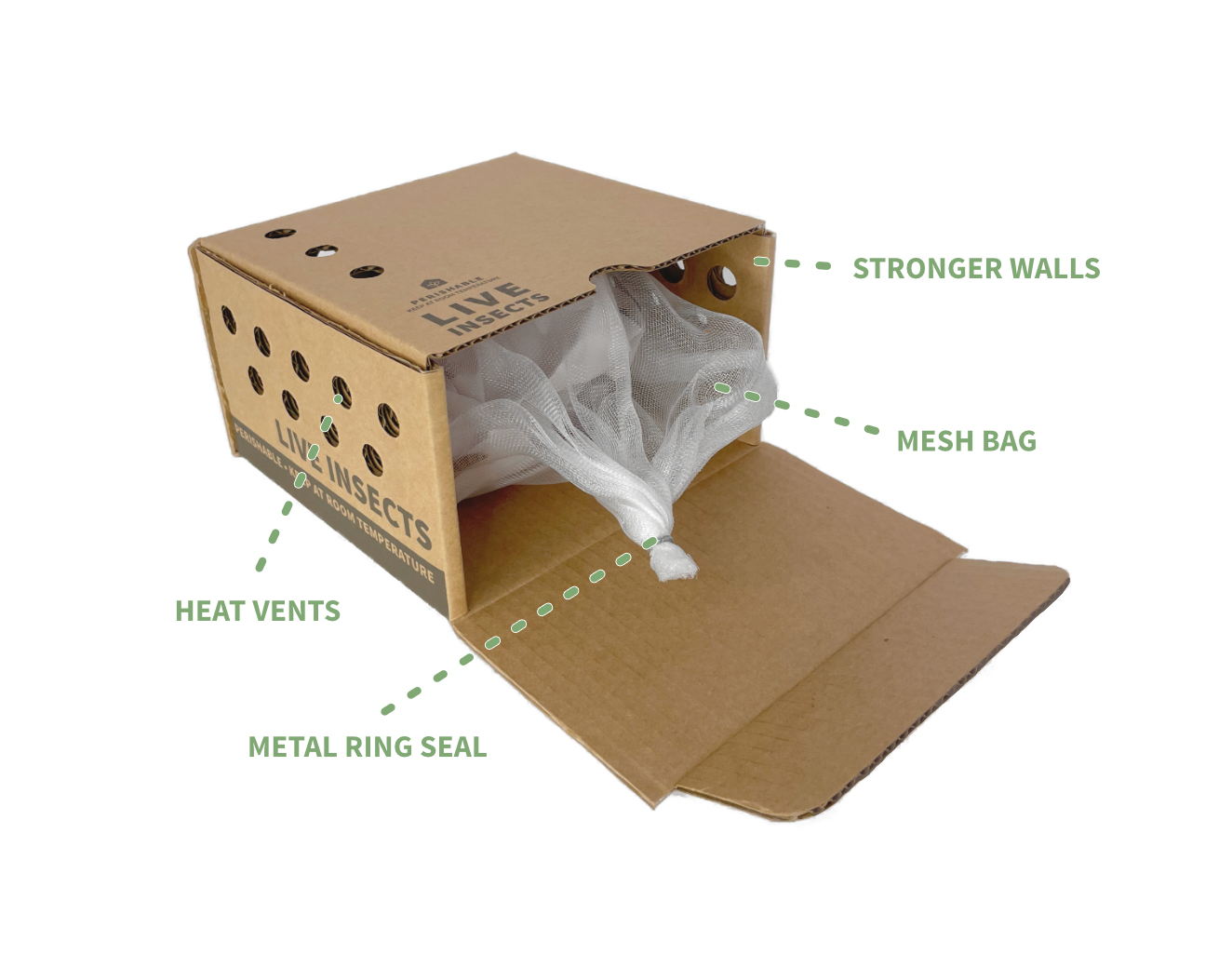 Live Insect Boxes - No Screens – Ovipost